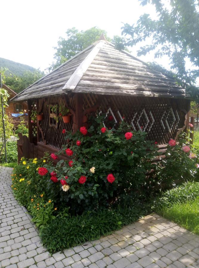 "У Пасічника" Котедж Для Сім'Ї Yaremche Luaran gambar