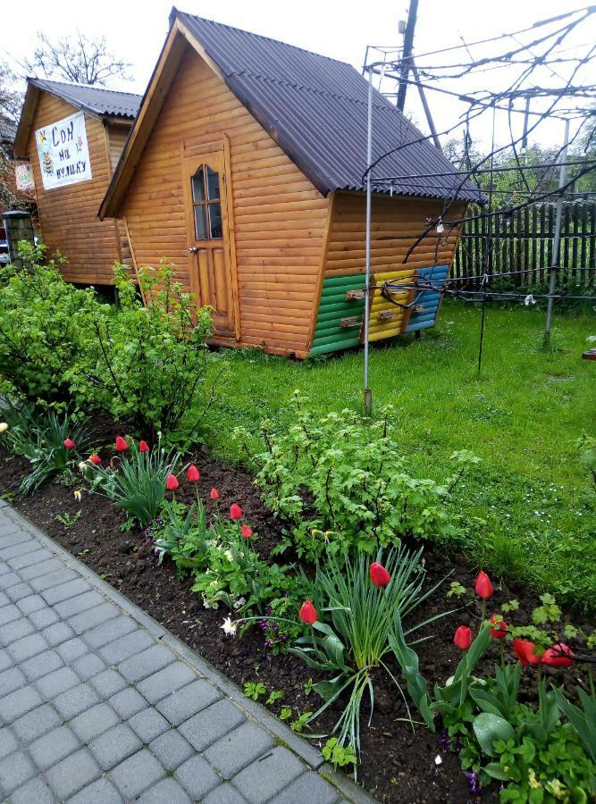 "У Пасічника" Котедж Для Сім'Ї Yaremche Luaran gambar